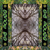 Ambience One